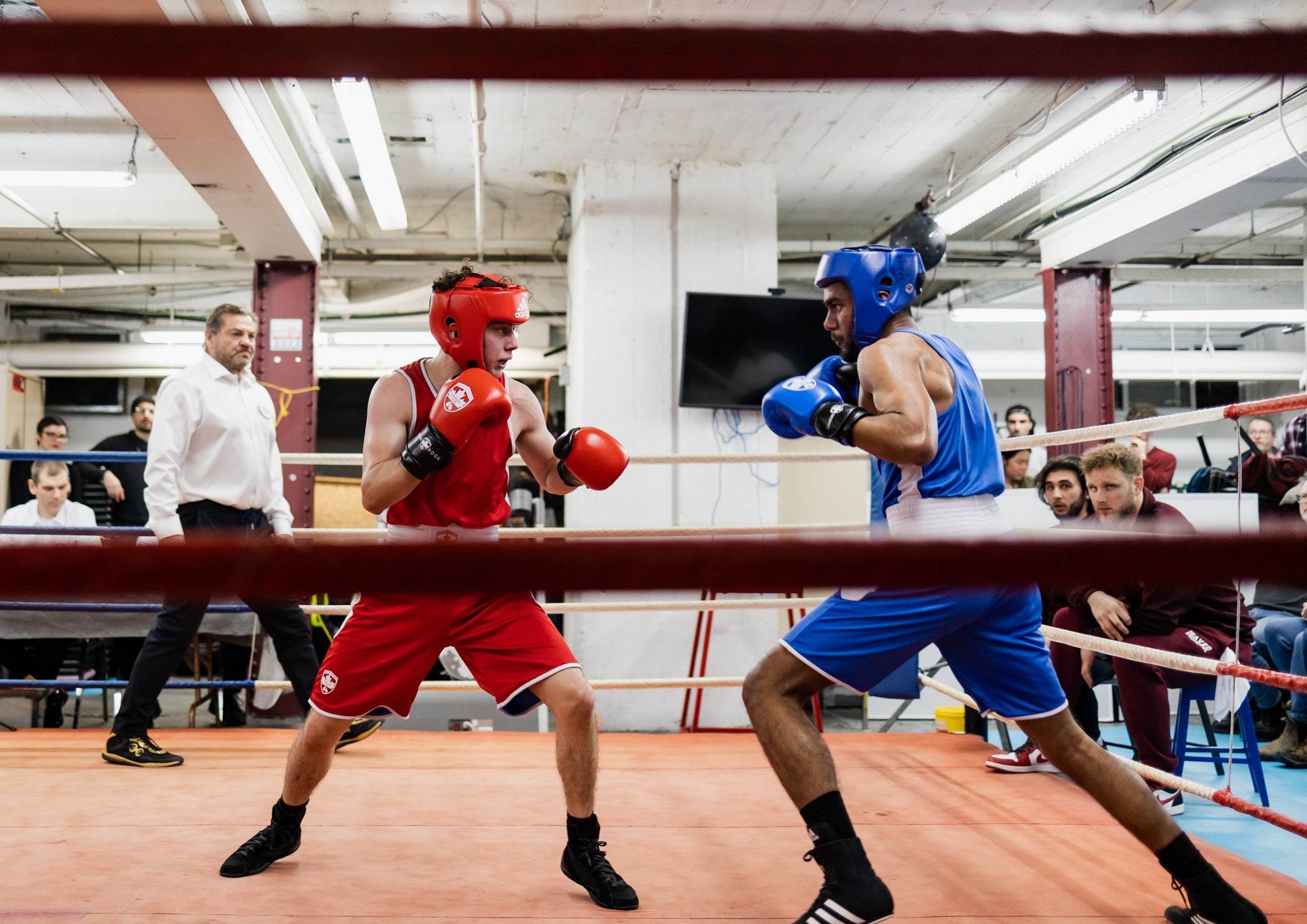 Competitiveness Boxing BEAVER BOXING CLUB – beaverboxingclub